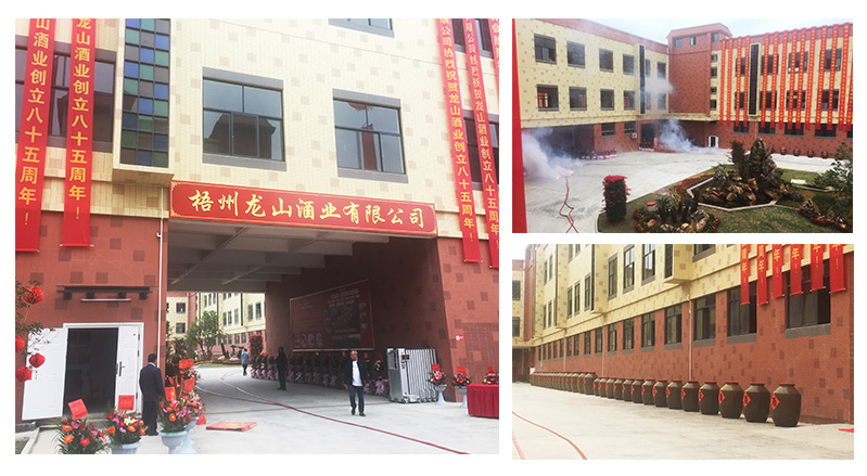 熱烈慶祝龍山酒業(yè)成立85周年丨三拓包裝碼垛生產(chǎn)線順利投產(chǎn)