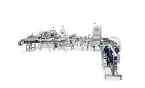 西林瓶凍干貼標(biāo)機(jī)分托入托系統(tǒng)