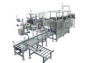 袋裝產品自動裝箱系統(tǒng)
